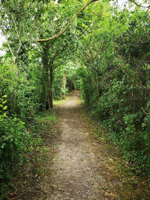 Hébergement de vacances Le Petit Paradis De Noordpeene