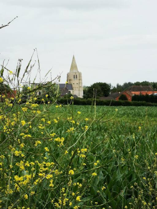 Le Petit Paradis De Hébergement de vacances Noordpeene